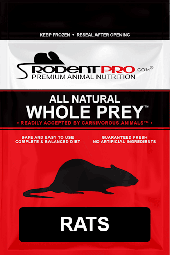 Frozen reptile outlet food online